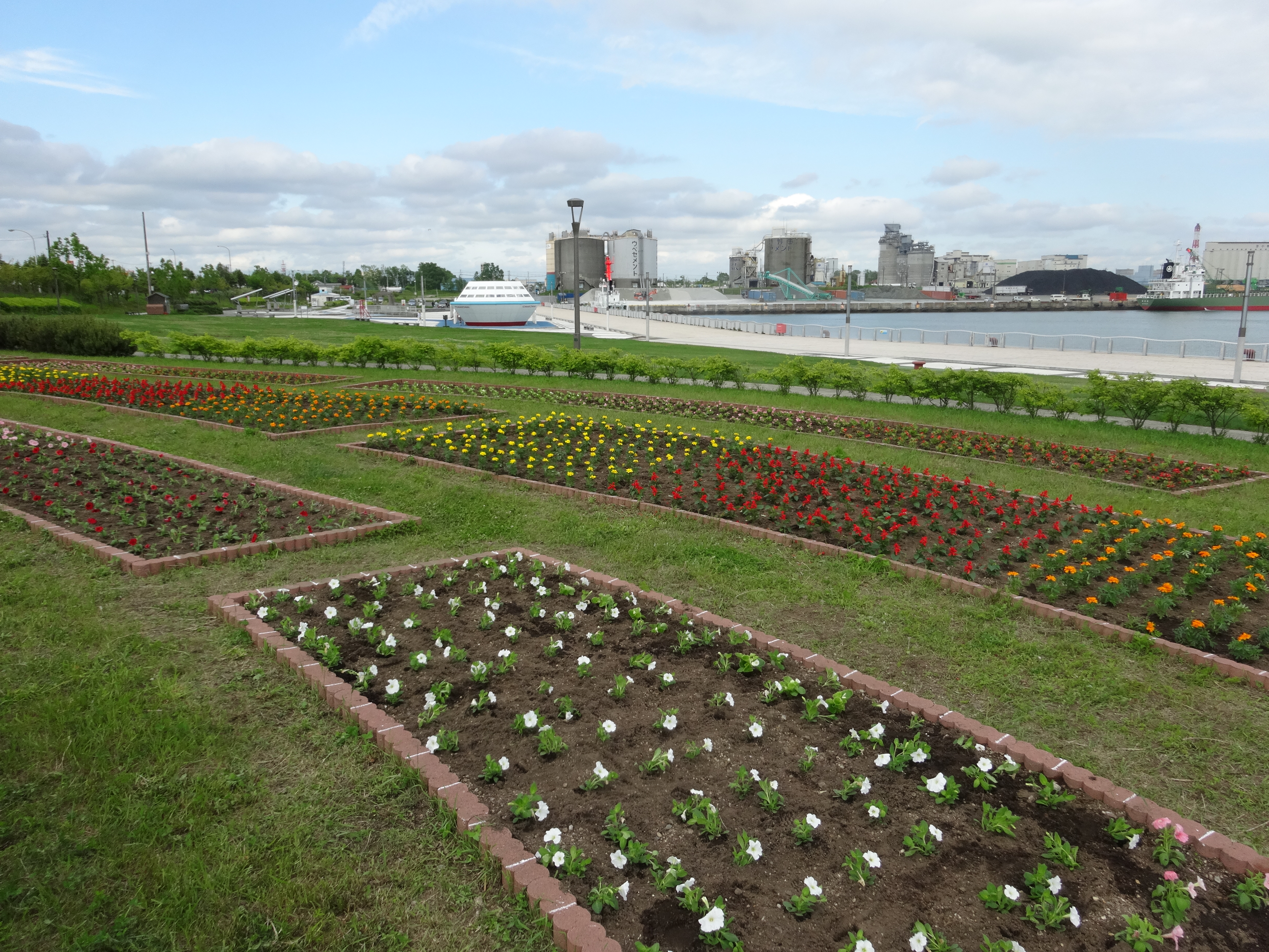 DSC02214.JPG